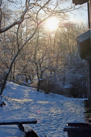 Lumières D'hiver