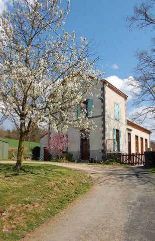 school in spring